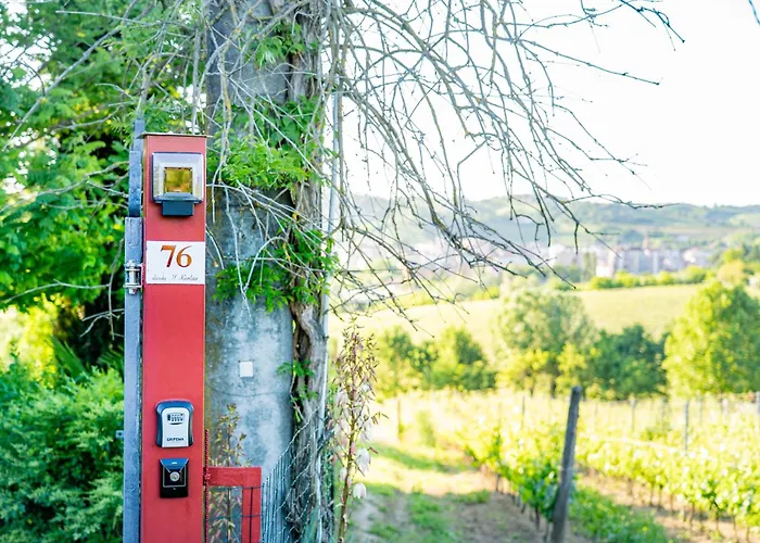 Il Casotto Tra I Vigneti